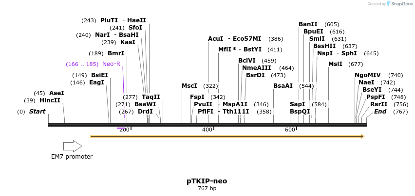 58207_map