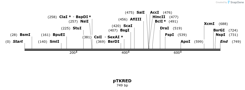 58209_map