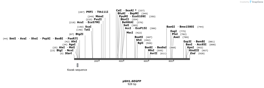 58213_map