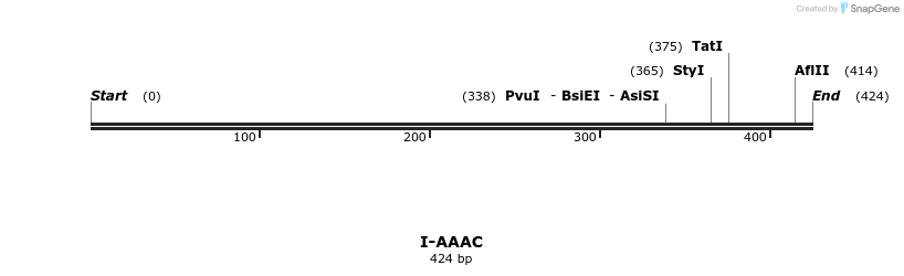58229_map