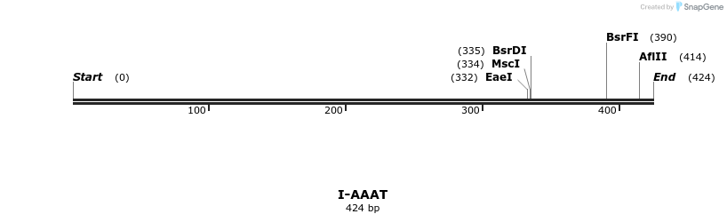 58231_map