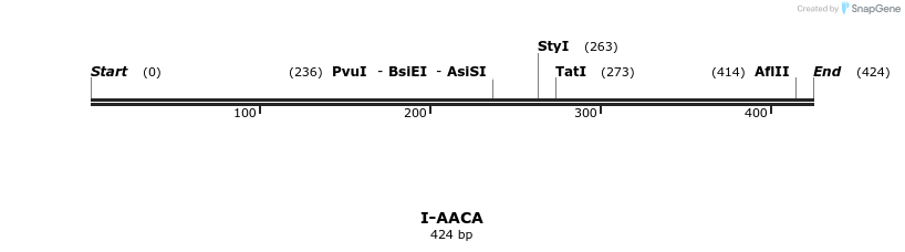 58232_map