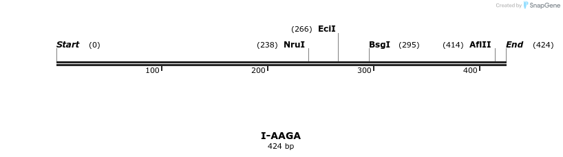 58236_map