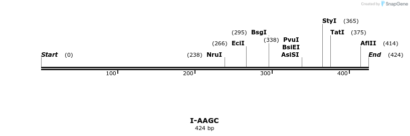 58237_map