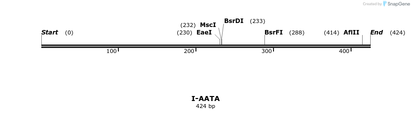 58240_map