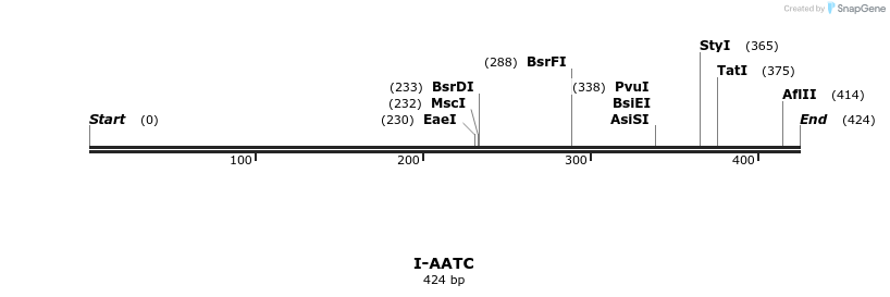 58241_map