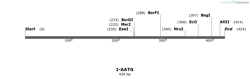 58242_map
