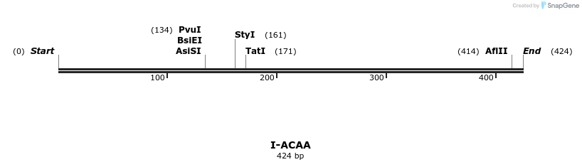 58244_map