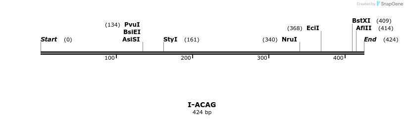 58246_map