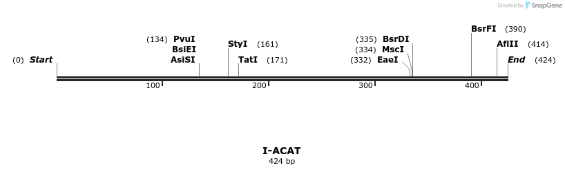 58247_map