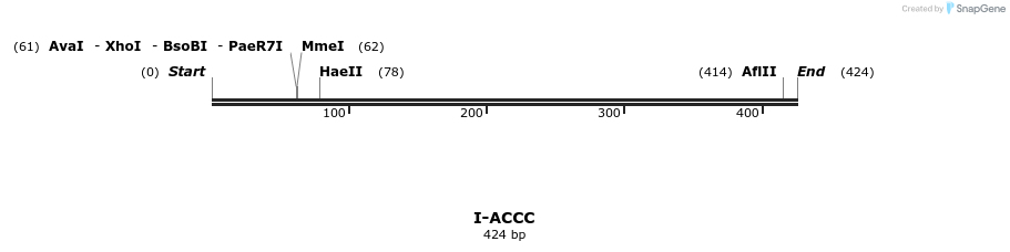 58249_map