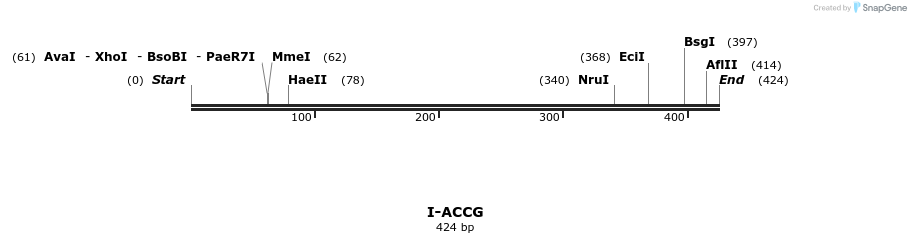 58250_map