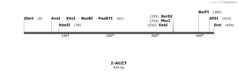 58251_map