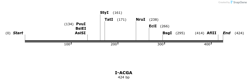 58252_map