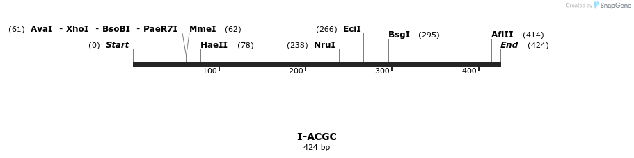 58253_map