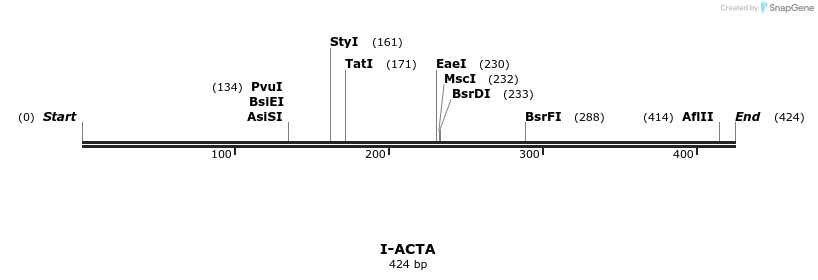 58256_map