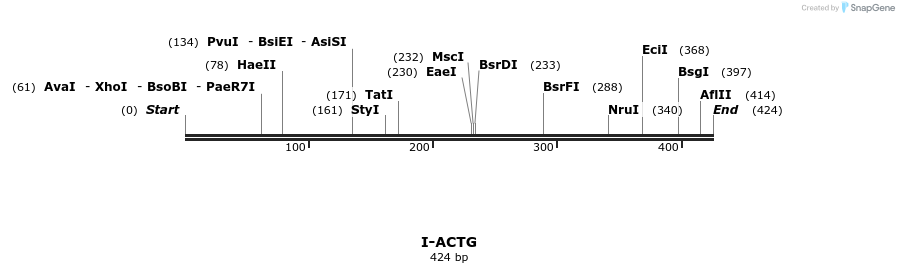 58258_map