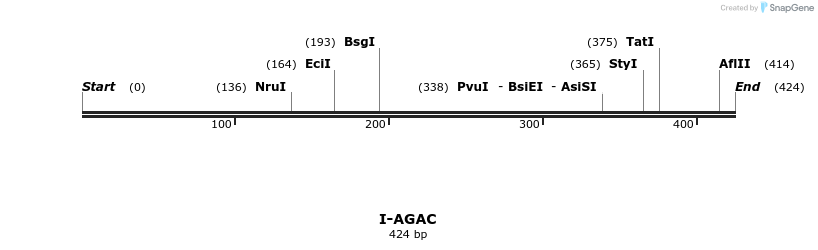 58261_map