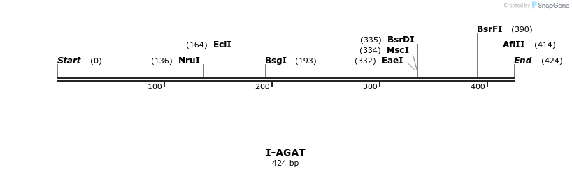 58263_map