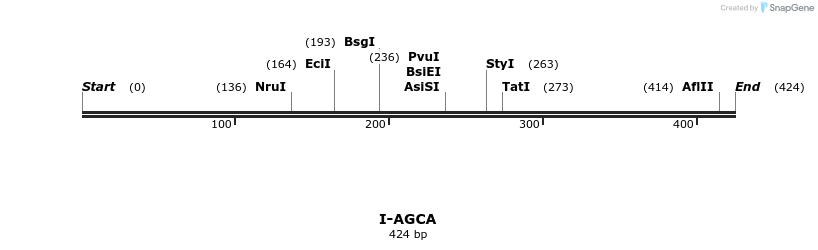 58264_map