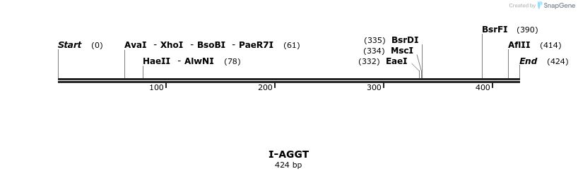58271_map
