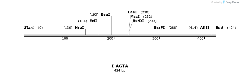 58272_map