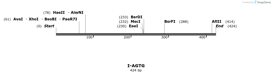 58274_map