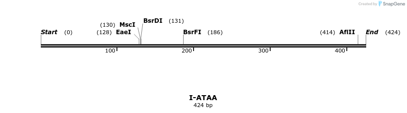 58276_map