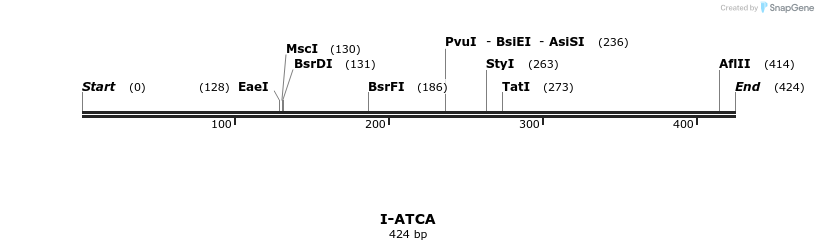 58280_map