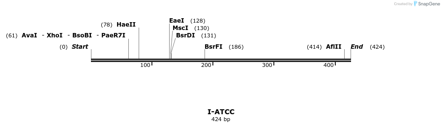 58281_map
