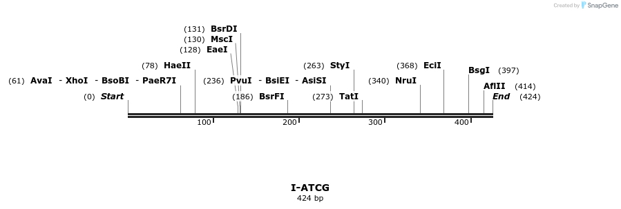 58282_map