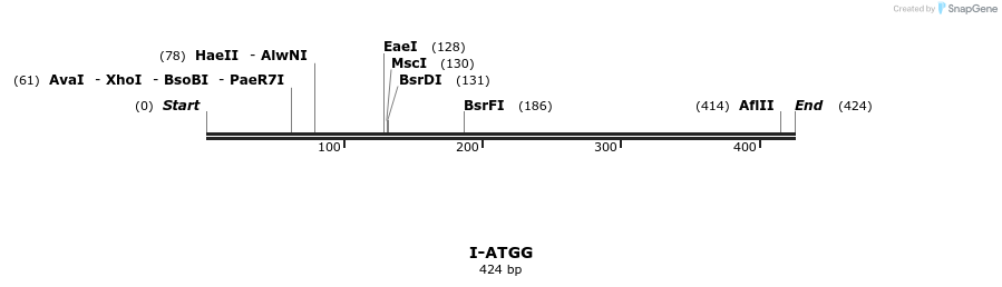 58286_map