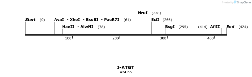 58287_map