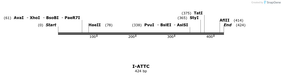 58289_map