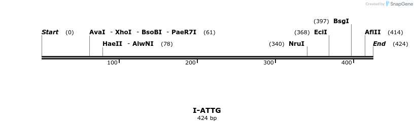 58290_map