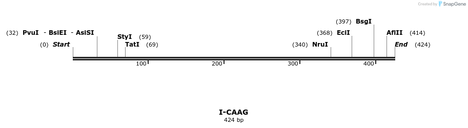 58294_map