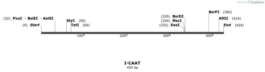 58295_map