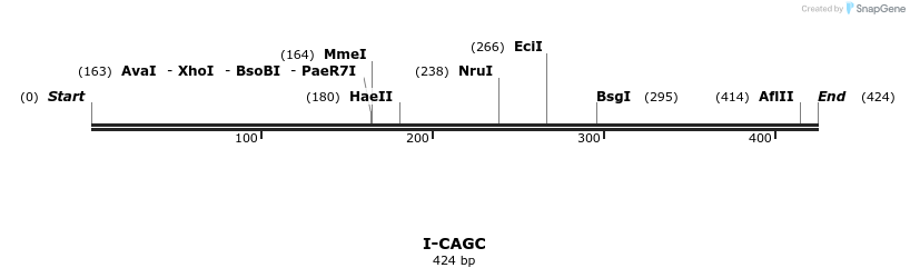 58301_map