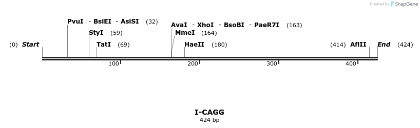 58302_map