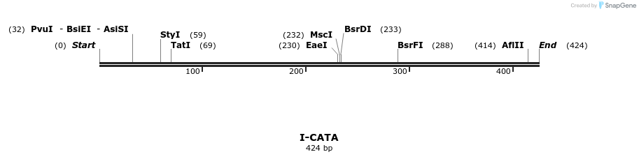 58304_map