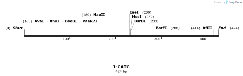 58305_map