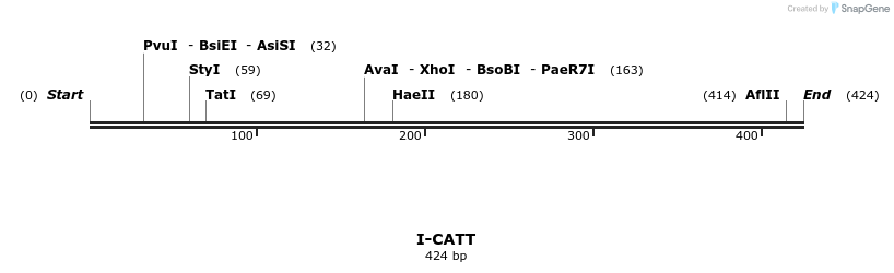 58307_map
