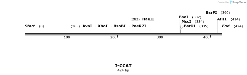 58311_map