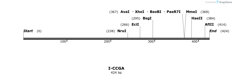 58316_map