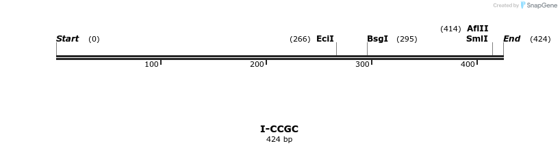 58317_map