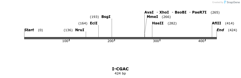 58325_map