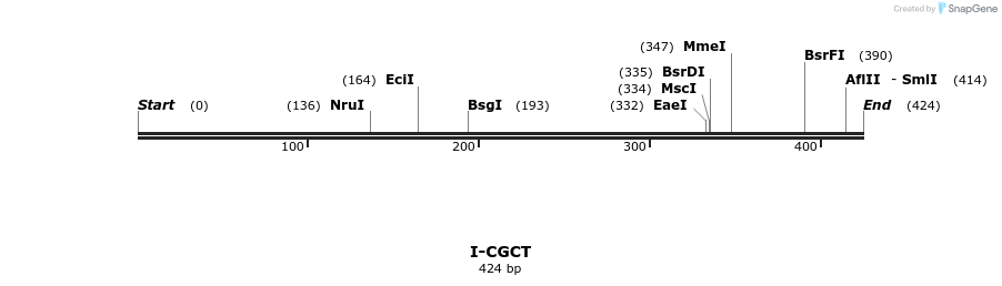 58331_map