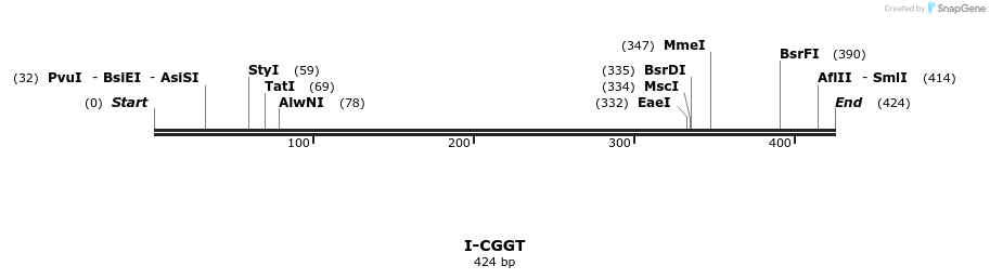 58335_map