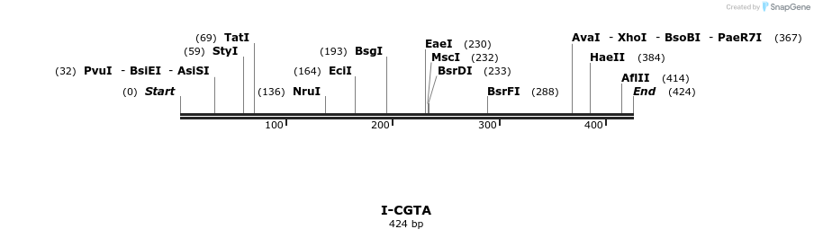 58336_map