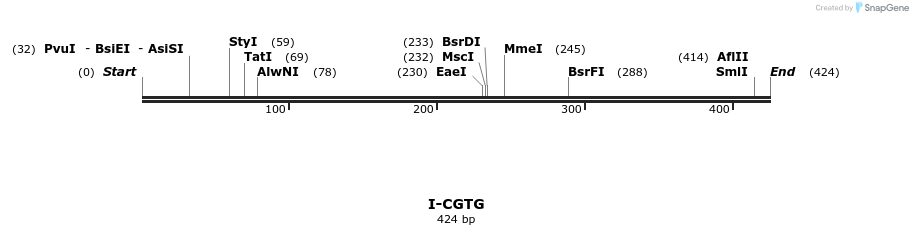 58338_map